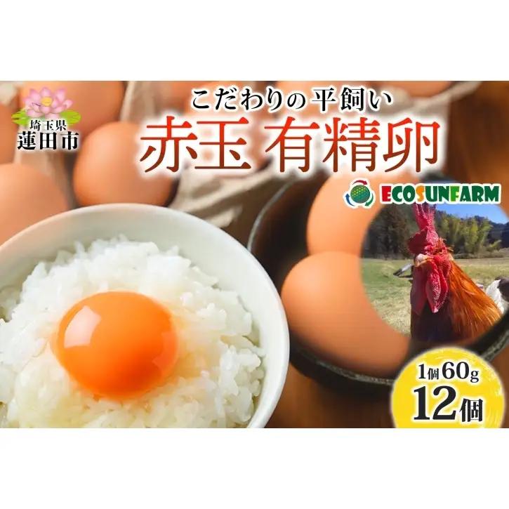 エコサンファーム 平飼い 赤玉有精卵 12個 赤玉 有精卵 こだわり 国産 鶏卵 鶏 発酵飼料 たまご かけご飯 料理 スイーツ お取り寄せ 産地直送 朝食 埼玉県 蓮田市