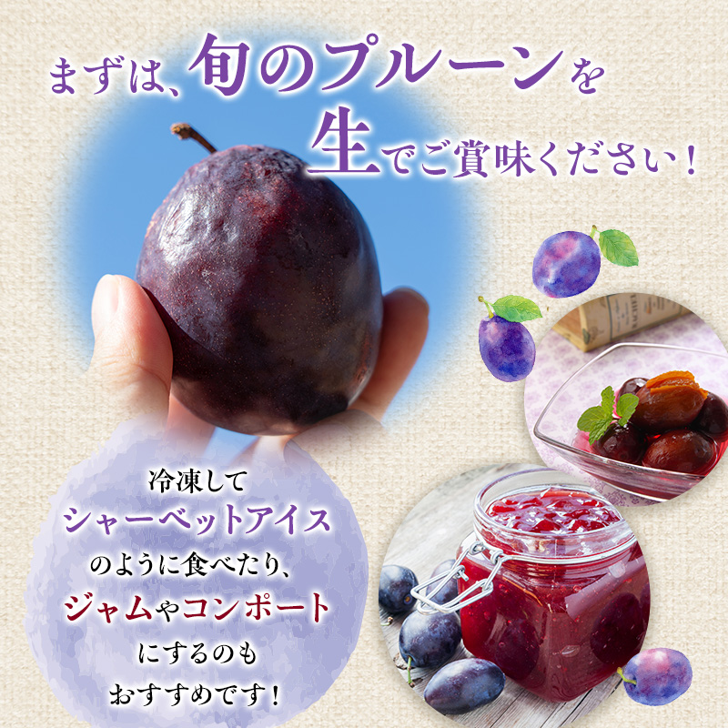 先行受付 2024年9月から順次出荷 北海道仁木町産 プルーン 1kg ( サンプルーン ) 厳選品 松山商店