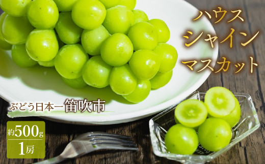JAふえふき ハウスシャインマスカット 1房（約500g） 010-003-26y