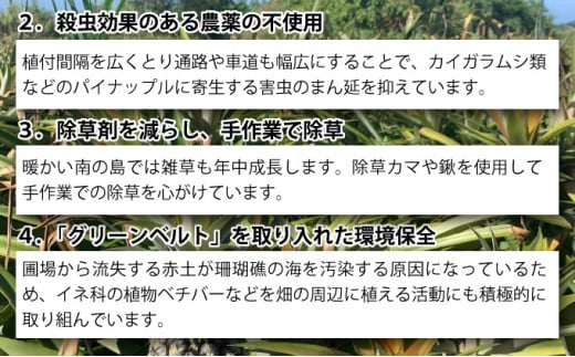 【2026年発送】リピータ続出！西表パイン園の蜜入り ピーチパイン 2kgセット