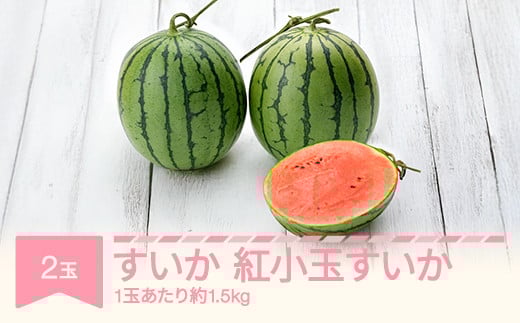 すいか 紅小玉すいか 秀品  2玉 愛娘さくら ピノガール  令和7年産 2025年産 スイカ  果物  no-subkx2