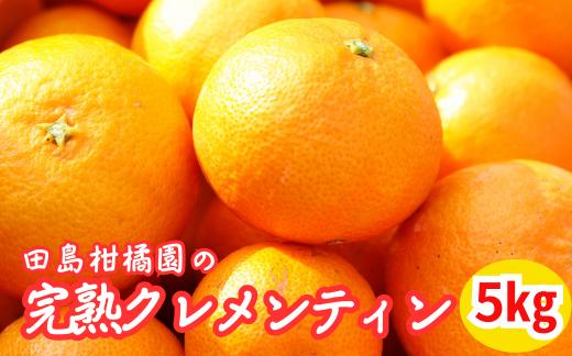 
                  田島柑橘園の完熟クレメンティン5kg
                