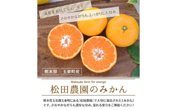 ジューシーで甘い♪『松田農園』のみかんたっぷり約5kg (S-2Lサイズ) 《11月上旬-1月下旬頃出荷》 予約受付中 フルーツ 秋 旬 熊本県 玉名郡玉東町『松田農園』手間暇かけたこだわりのミカンs