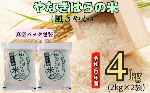 【令和6年産】「やなぎはらの米　風さやか」4㎏（真空包装） (6-44A)