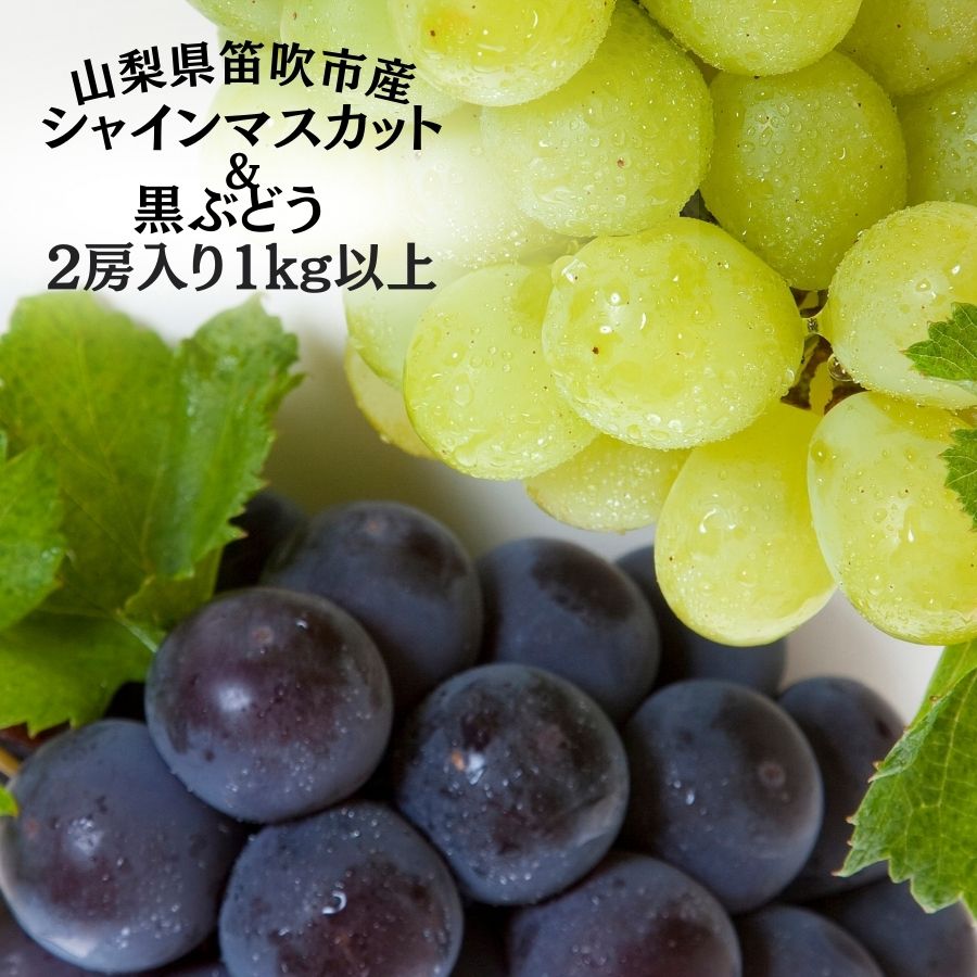 【ふるさと納税】＜25年発送先行予約＞笛吹市産旬の葡萄2房入り2色セット 1kg以上 ★レビューキャンペーン中（4月〜6月）ふるさと納税 シャインマスカット 笛吹市 国産 人気 期間限定 ぶどう ブドウ 葡萄 旬 果物 フルーツ 山梨県 送料無料 167-142