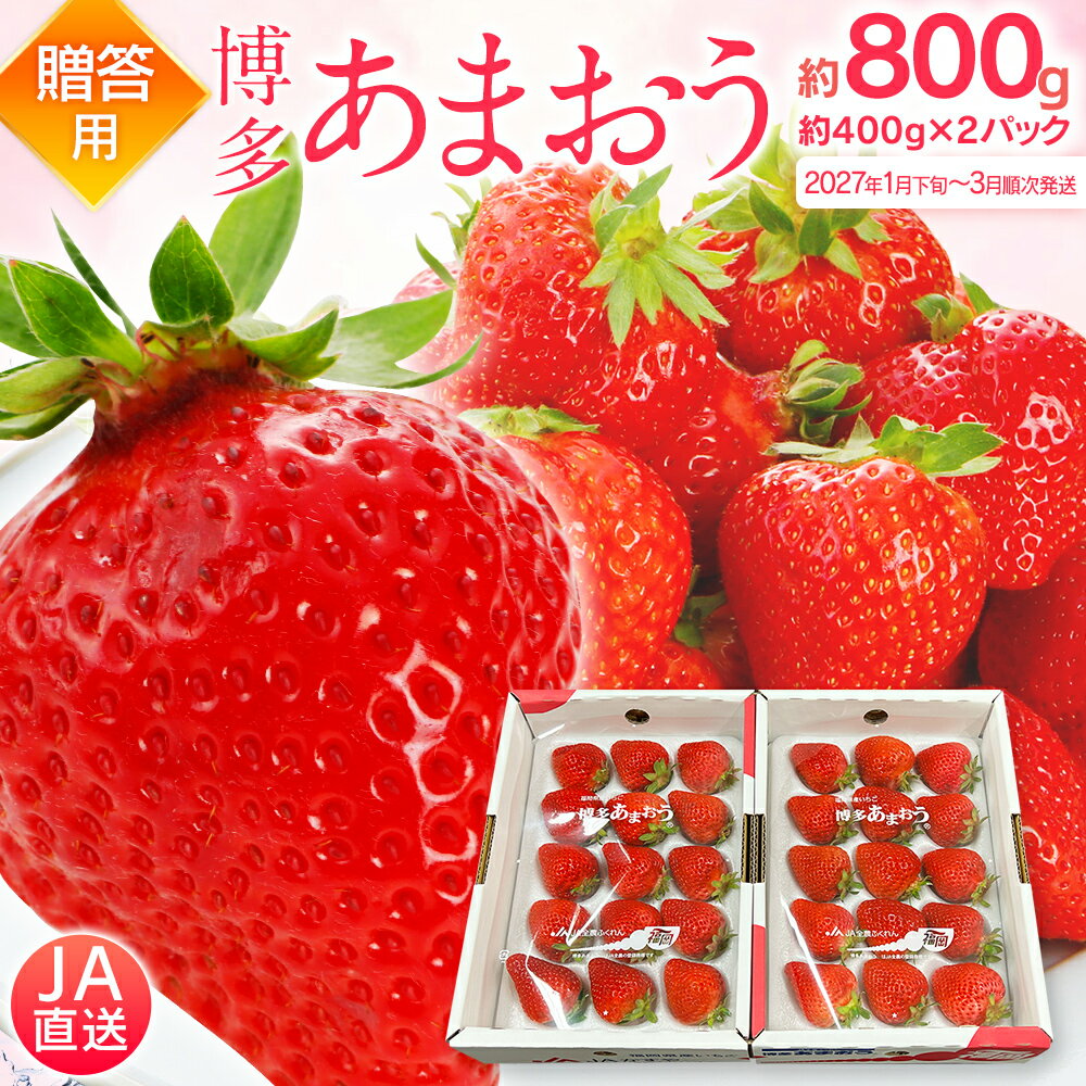 【ふるさと納税】先行予約 あまおう 合計約800g 約400g×2パック（1パックあたり、9玉〜18玉） 福岡県産 九州 イチゴ いちご 苺 果物 くだもの フルーツ 送料無料【2027年1月下旬～3月順次発送】