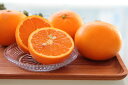 【ふるさと納税】【楽天限定】 主井農園 高級 清見オレンジ 赤秀 2.5kg【清見 みかん オレンジ タンゴール きよみ 柑橘 和歌山】