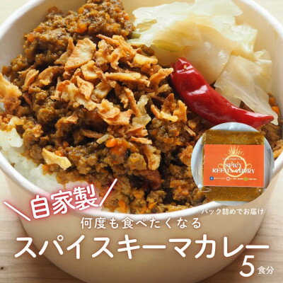 【ふるさと納税】RUTA自家製スパイスキーマカレー計1kg【配送不可地域：離島】【1662585】