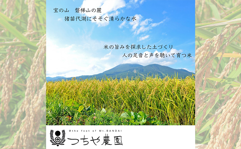 【令和5年産】猪苗代町産 特別栽培米ひとめぼれ 10kg（精米）