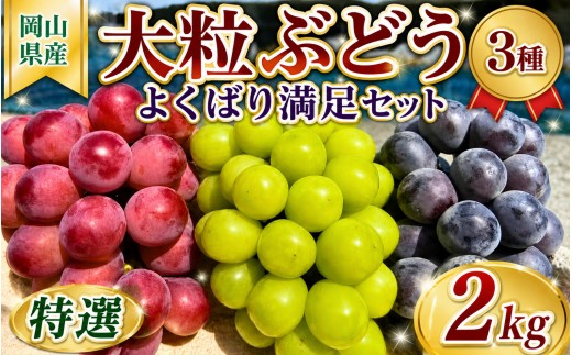 
            【2026年先行予約】 NISSHOKU　FARM　特選　大粒ぶどう３種セット（シャインマスカット入り）岡山 ぶどう 真庭市 高級 ギフト 贈り物 ピオーネ クイーンニーナ 【nisfarm010-02】
          