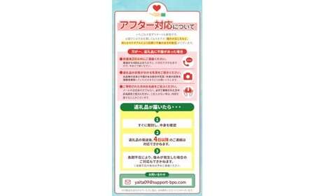 [3月以降発送][期間限定] 栃木県産 いちご とちあいか 12～15粒 × 2P 先行予約 選べる発送月 定期便3回｜栃木県産 矢板市産 フルーツ スイーツ デザート 果物 果実 産地直送 栃木県 