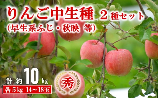 【令和8年産先行予約】 JA 中生種りんご 2種セット 「早生系ふじ (涼香の季節・昴林)・秋陽・秋映 等」 各約5kg (計10kg) 『JA山形おきたま』 [719]