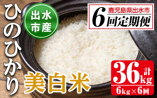 i543 ＜定期便・計6回(連続)＞鹿児島県出水市産ひのひかり美白米＜(3kg×2袋・計6kg)×全6回＞【田上商店】