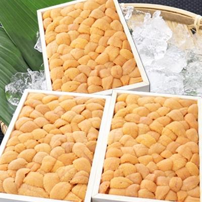 ふるさと納税 根室市 エゾバフンウニバラ詰め250g×3折  E-53005