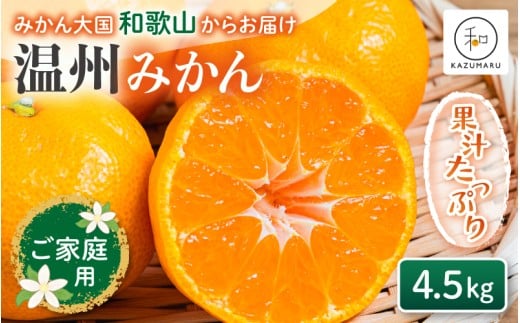【家庭用】 森本農園の手選別 みかん 約4.5kg 和歌山県産 2S~2Lサイズ混合 【北海道・沖縄・離島配送不可】【2025年11月上旬～2026年2月中旬ごろに順次発送】【RN7】