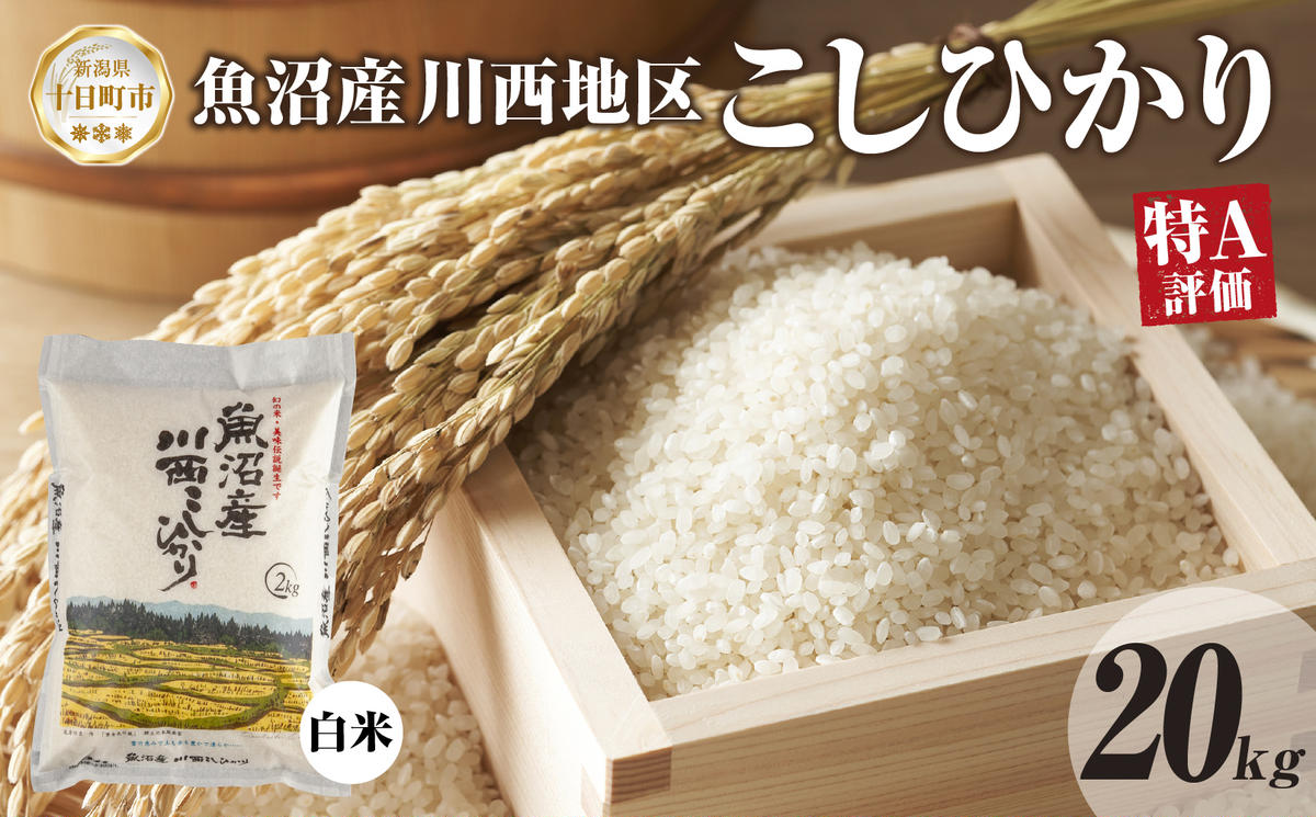 【令和8年産 先行予約】魚沼産 川西 こしひかり 20kg 精米 米 コメ お米 ごはん ご飯 白米 おにぎり 炊き立て ブランド米 コシヒカリ 新潟県産 魚沼 人気 国産 産地直送 お取り寄せ 送料無料 新潟県 十日町