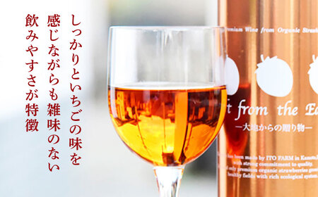 【6回定期便】高級 いちご 100％ワイン Giftfromthe Earth -大地からの贈り物- オーガニック【伊藤農園】  いちご 苺 熊本県 特産品 有機 お酒 オーガニックワイン [ZBB0