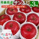 【ふるさと納税】12月中にお届け！ 青森県産 サンふじ りんご 3kg 林檎 果物 フルーツ 年内配送 家庭用 贈答用 送料無料