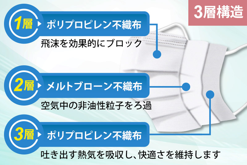 《定期便11ヶ月》国内製造 高性能サージカルマスク 普通サイズ 50枚入り×4箱 (合計200枚)×11回 11か月 11ヵ月 11カ月 11ケ月