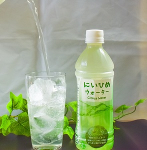 乾いたカラダを潤す♪ にいひめウォーター ５１０ml × ２４本 入【frsn0014A】