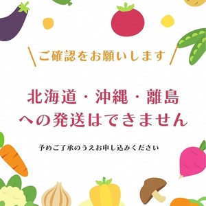 京都丹波・亀岡発 旬の野菜・こしひかり・地卵 詰め合わせセット◇ ※北海道・沖縄・離島への配送不可