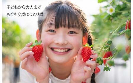 いちご 苺 古都華(ことか) 奈良県ブランドいちご 約270g x 4パック 計1080g かたおかの苺 イチゴ いちご 苺 古都華 果物 フルーツ ブランド  ストロベリー