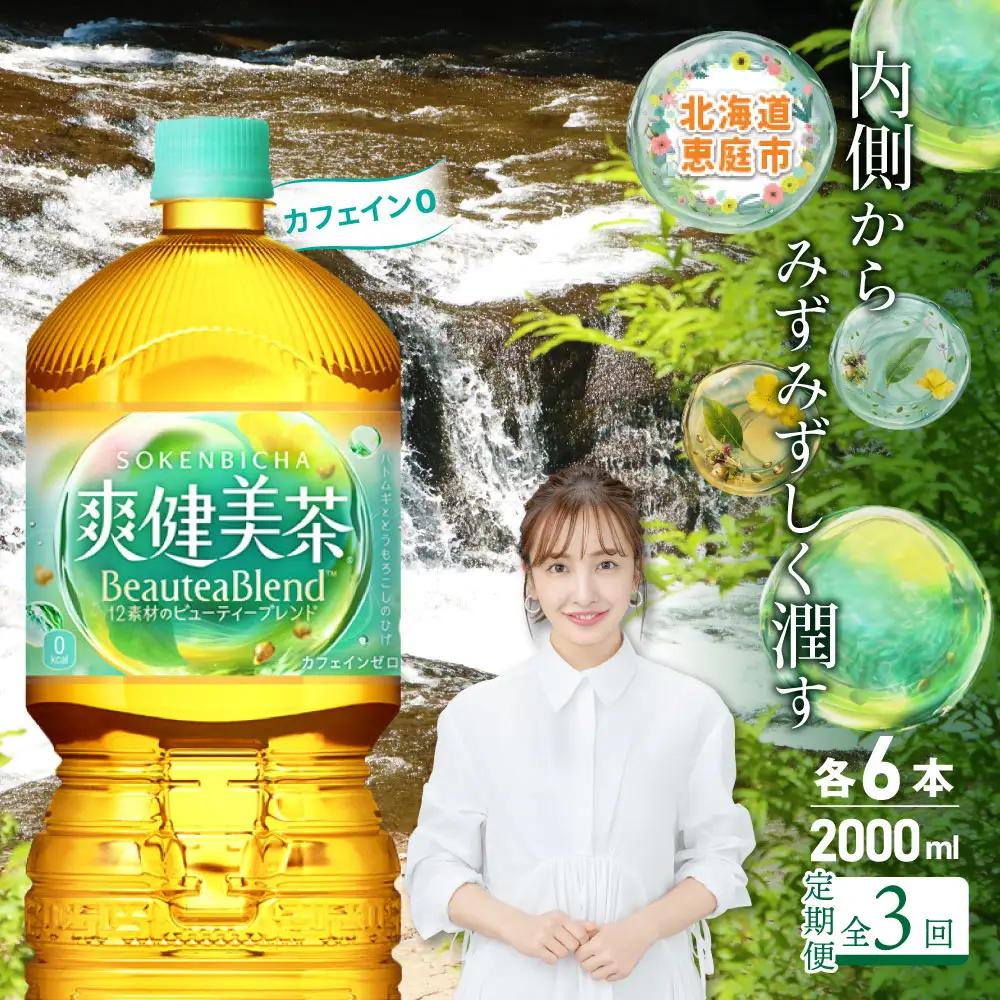 『定期便：全3回』爽健美茶2000mlPET×6本