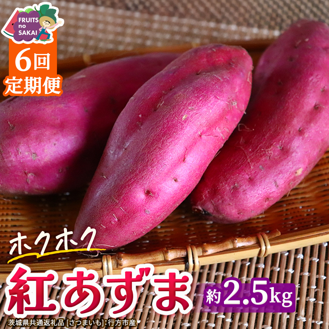 紅あずま 約2.5kg （6回 定期便 ）（茨城県共通返礼品 [さつまいも]：行方市産） 6か月定期便 定期便 さつまいも サツマイモ べにあずま 芋 いも 野菜 根菜  茨城県産 お取り寄せ 野菜 