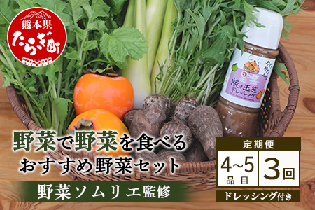 【定期便 3回】野菜ソムリエ 監修【 野菜で野菜を食べる 】旬の おすすめ 野菜＆ドレッシング 定期便 (1?2名様向け) 野菜 獲れたて 直送 旬 新鮮 セット 詰め合わせ 詰合せ 定期便 産地 直送 国産 旬 野菜 ひとり暮らし 夫婦 熊本県 多良木町 ドレッシング 024-0806