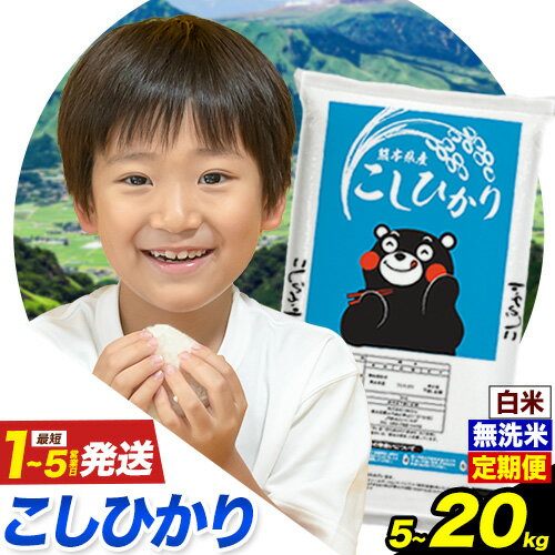 【ふるさと納税】令和7年産 無洗米 定期便 も 選べる こしひかり 白米 or 無洗米 選べる精米方法 内容量 5kg 10kg 20kg 白米 精米 無洗米 熊本県産(南阿蘇村産含む) 単一原料米 南阿蘇村 産 米 定期便 選べる《選べる出荷時期》楽天スーパーSALE