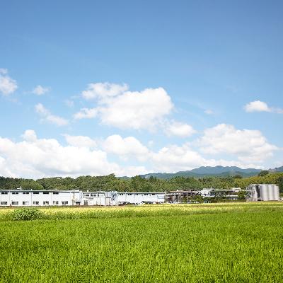 ふるさと納税 多良木町 本格米焼酎白岳パック25度900ml 6本セット |  | 02