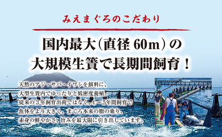 先行予約 マグロ 詰め合わせ 600g 本まぐろ 本鮪 刺身 刺し身 マグロ丼 海鮮丼 大トロ 中トロ トロ 赤身 国産 養殖 みえまぐろ 三重 南伊勢町 伊勢 志摩