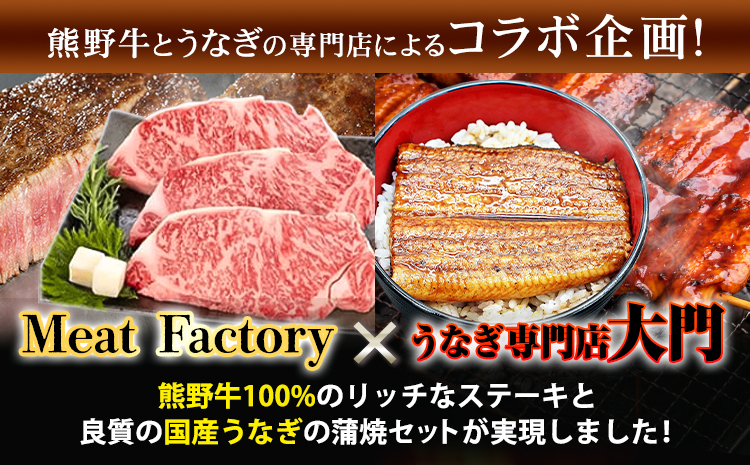 ステーキ 鰻 熊野牛 国産うなぎ 熊野牛ステーキと国産炭火焼鰻の贅沢うな牛セットＢ 計6食 株式会社Meat Factory《30日以内に出荷予定(土日祝除く)》ステーキ 蒲焼 鰻の蒲焼 うなぎの蒲焼