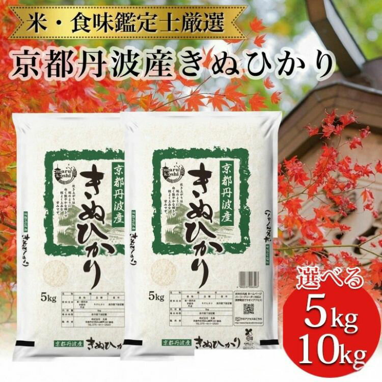 【ふるさと納税】容量が選べる 令和7年産 新米 京都丹波産 きぬひかり 米 5kg・10kg(5kg×2)※米食味鑑定士厳選 ※精米したてをお届け【京都伏見のお米問屋が精米】※沖縄本島・離島への配送不可