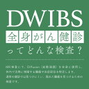 【ふるさと納税】DWIBS(全身がん健診)ってどんな検査?ほうせんか病院で45分検査を受けるだけ!【1471177】