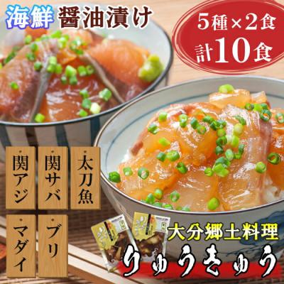 ふるさと納税 杵築市 豊後絆屋　大分郷土料理りゅうきゅう漬けセット(5種×2食)