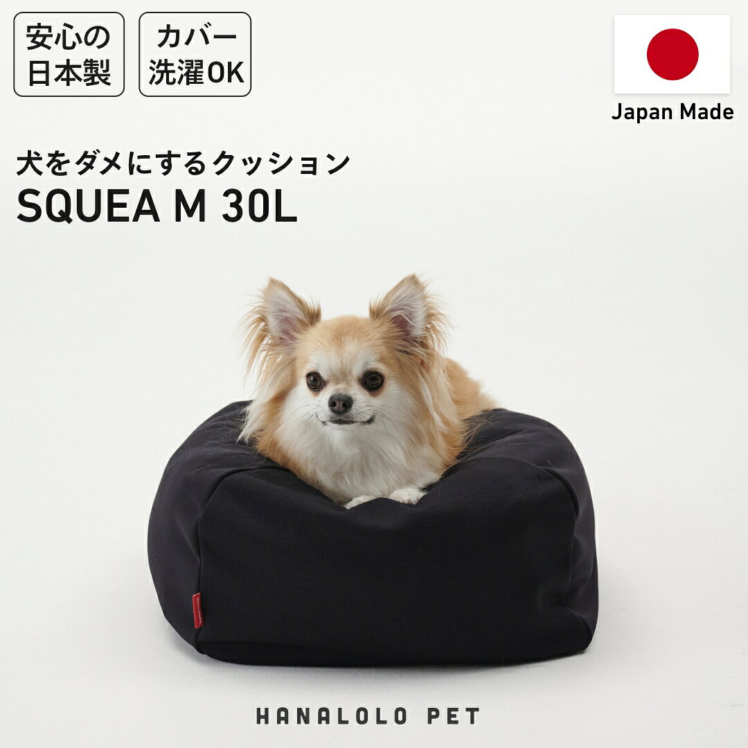 【ふるさと納税】 クッション ビーズクッション ハナロロ ペットクッション Sカバー付 30L ブラック [タキコウ縫製 愛知県 岡崎市 ok23bzx360109] インテリア 家具 椅子 いす イス ビーズ カバー 雑貨 ナチュラル