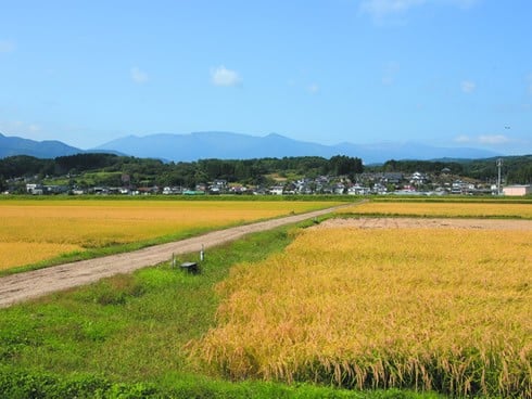 【5か月定期便】＜令和7年産米＞蔵王源流米ひとめぼれ5kg×5回（全25kg）　【04301-0163】