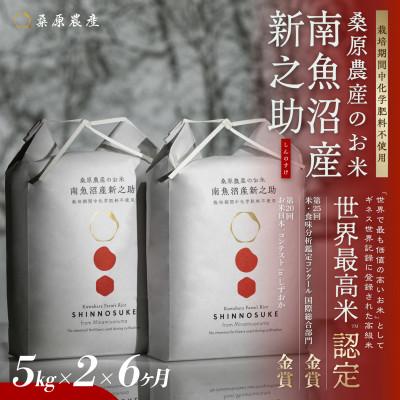 ふるさと納税 南魚沼市 【毎月定期便】ギネス世界記録「世界最高米」認定 最高級南魚沼産新之助5kg×2 桑原農産のお米全6回