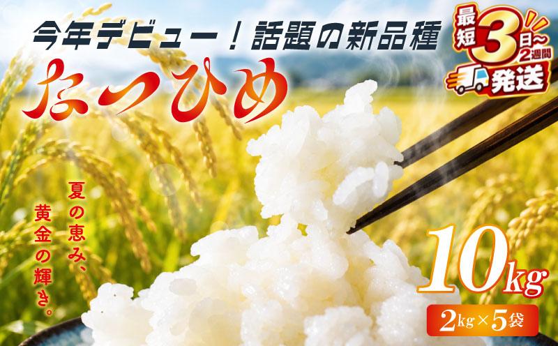 
                  最短3日発送 新米 なつひめ 10kg 新米 新品種 令和8年産 米 白米 こめ 大粒 ごはん おにぎり お弁当 農家直送 産地直送 ふるさと納税 川瀬農園 新潟 新潟県 新発田市 kwsNH002_01_F
                