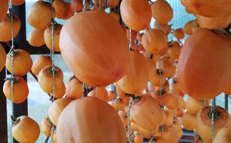 フルーツ 【先行予約】【10個限定】【全2回定期便】柿の贅沢セット！ 合わせ柿6玉 プレミアム干し柿SHUKU  L玉以上4玉   島根県松江市/マルカミ農縁株式会社 [ALCM017] フルーツ フ