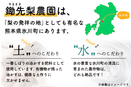 熊本県氷川町産 鋤先梨農園の梨 約5kg 鋤先梨農園 《9月上旬-10月中旬頃出荷予定》 熊本県 氷川町 あきづき 甘太 新高 新興 旬