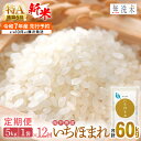 【ふるさと納税】【新米・先行予約】令和7年産 無洗米 定期便 12ヶ月 いちほまれ 5kg × 12回（計60kg）特A 通算6回！福井県産【米 コメ kome 5キロ 12か月 計 60キロ 精米 白米 人気 便利 時短】【令和7年10月より順次発送予定】 [e27-l003]