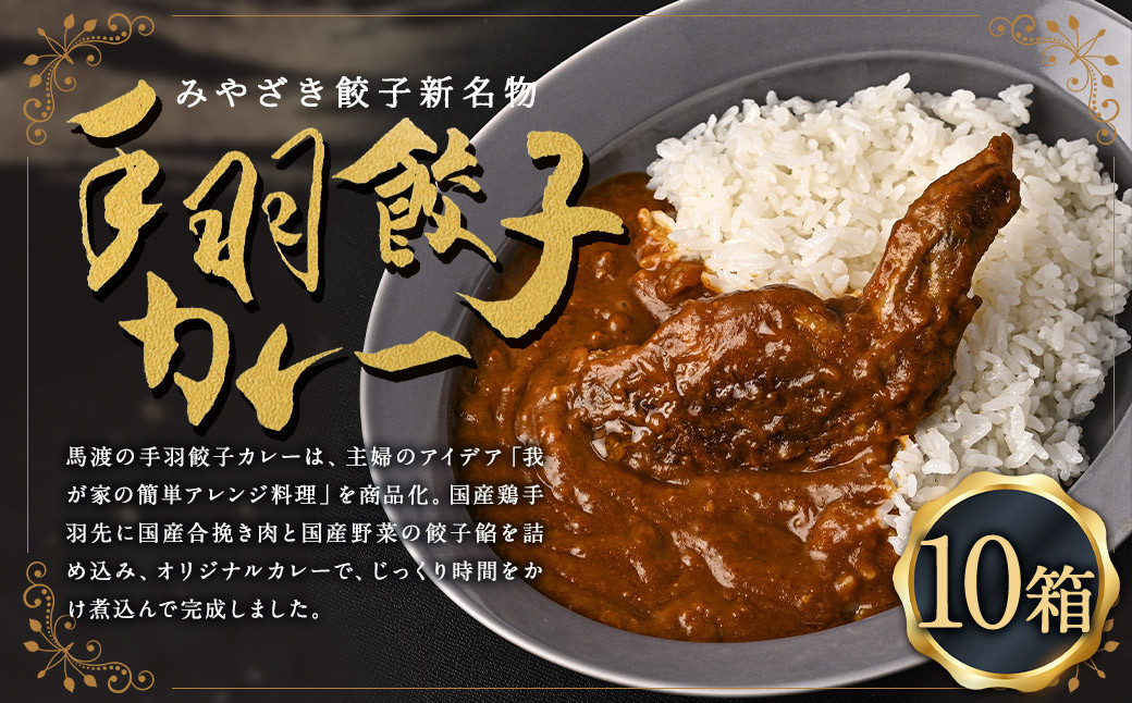 
            〈 みやざき餃子新名物 手羽餃子カレー 10箱 〉２～３週間以内に順次出荷 カレー 餃子 ギョウザ ギョーザ 手羽餃子 レトルト 常温保存 餃子の馬渡
          