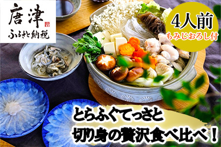 唐津産 とらふぐてっさと切り身の贅沢食べ比べ！4人前「2023年 令和5年」