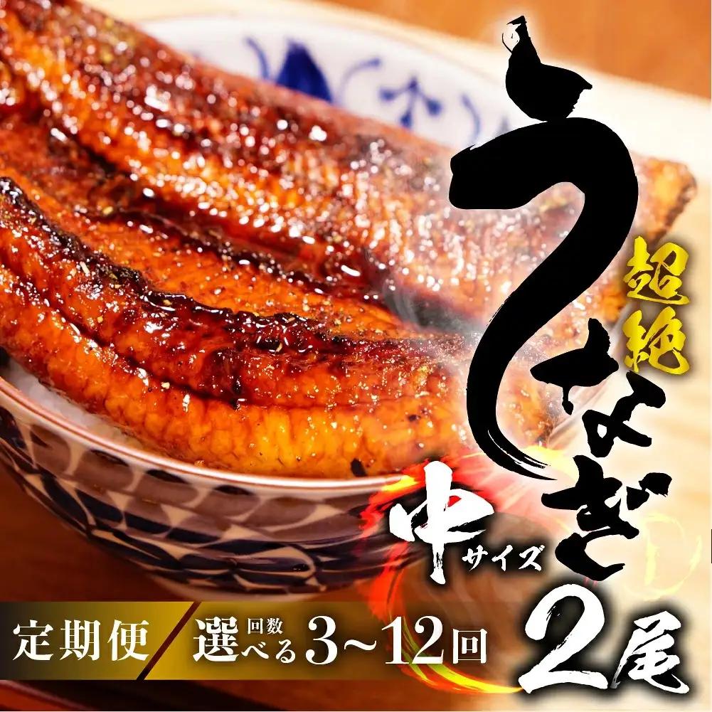 うなぎ蒲焼 中2尾 定期便6回 超絶 うなぎ