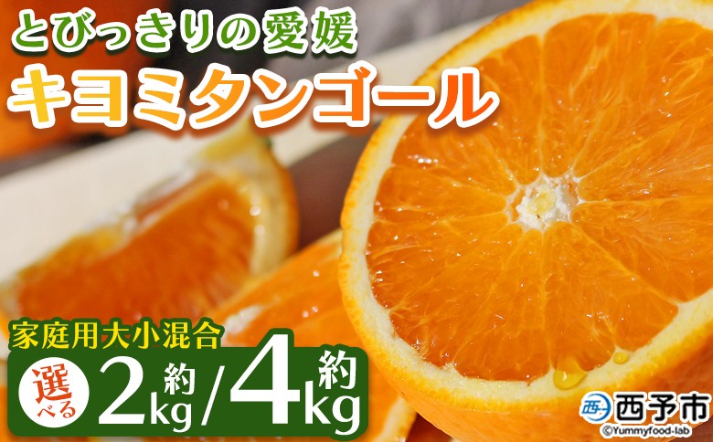 
                  先行予約 ＜とびっきりの愛媛 キヨミタンゴール 約2kg／4kg（家庭用大小混合）＞ 訳あり 家庭用 果物 柑橘 フルーツ みかん 蜜柑 オレンジ 清見タンゴール 特産品 片山果樹園 食べて応援 西宇和 愛媛県 西予市【常温】『2026年3月中旬から順次出荷予定』
                
