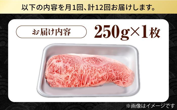 【12回定期便】佐賀県産 黒毛和牛 贅沢 サーロインステーキ 250g×1枚【株式会社いろは精肉店】/黒毛和牛 和牛 牛肉 肉 お肉 贅沢 高級 ステーキサーロイン 牛肉  [IAG086]