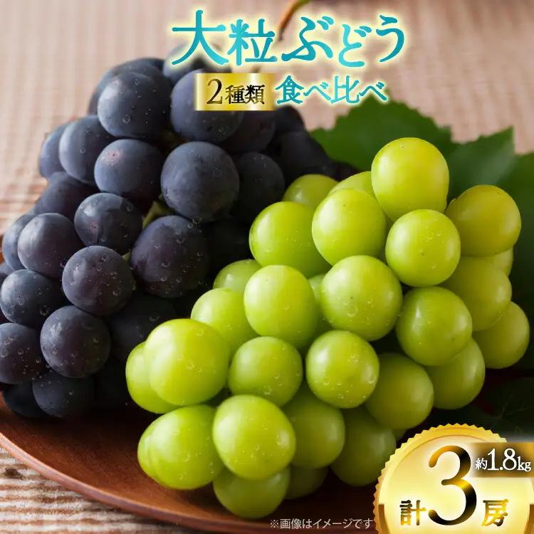 【期間限定発送】 ピオーネ シャインマスカット 2種 食べ比べ セット 約1.8kg