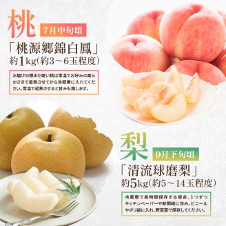 定期便 2回 先行予約 【 桃 白桃 7月頃 梨 9月頃 】白鳳 特製桃源郷錦 約1kg、清流錦梨 約5kg もも モモ なし フルーツ 果物 デザート お楽しみ 2024年発送 配送不可:離島